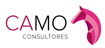 Camo Consultores Logo